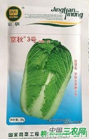 京秋3号大白菜品种好不好？