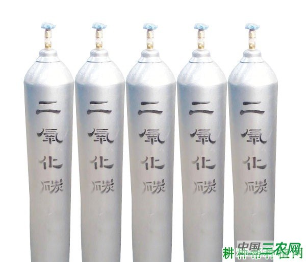 大棚种植苦瓜如何施二氧化碳肥？