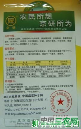 京春黄大白菜品种好不好？