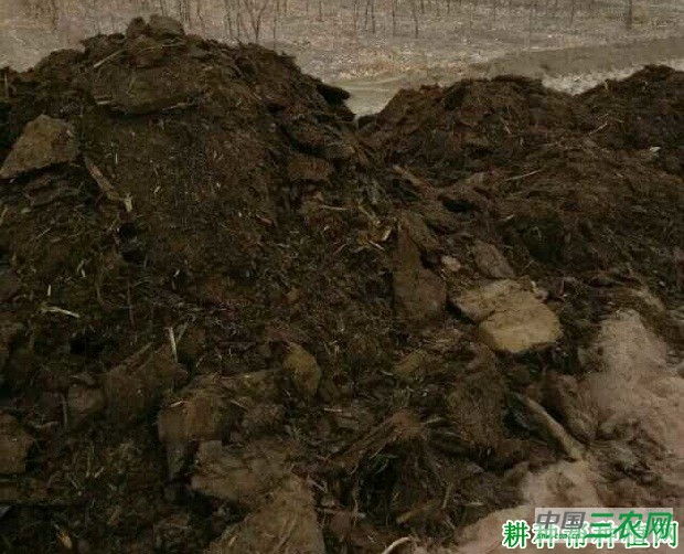 大棚内如何防止有害气体发生？