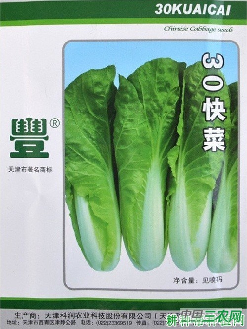 30快菜大白菜品种好不好？
