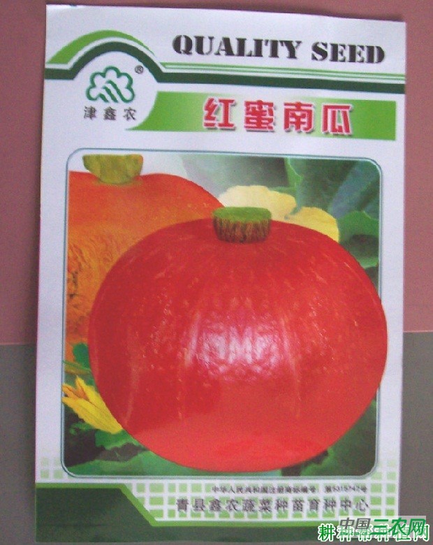 红蜜1号南瓜品种好不好？