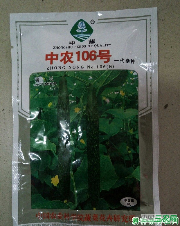 中农106号黄瓜品种好不好？