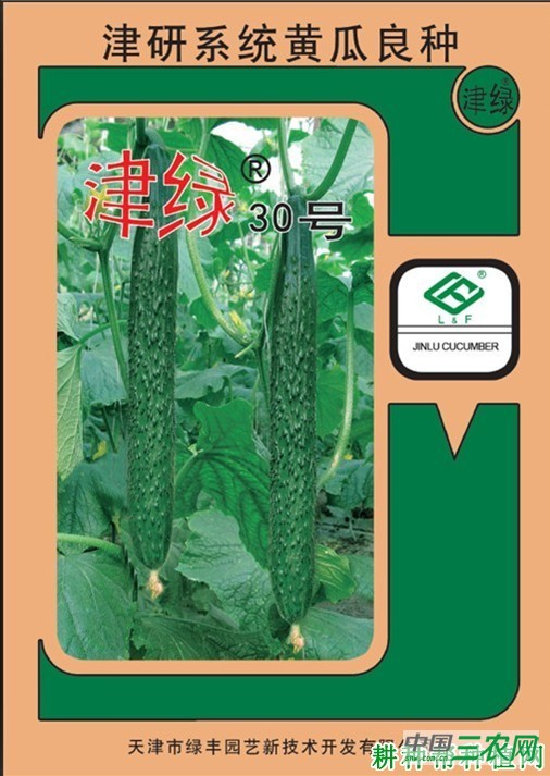 津绿30号黄瓜品种好不好？