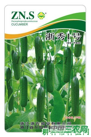浙秀1号黄瓜品种好不好？