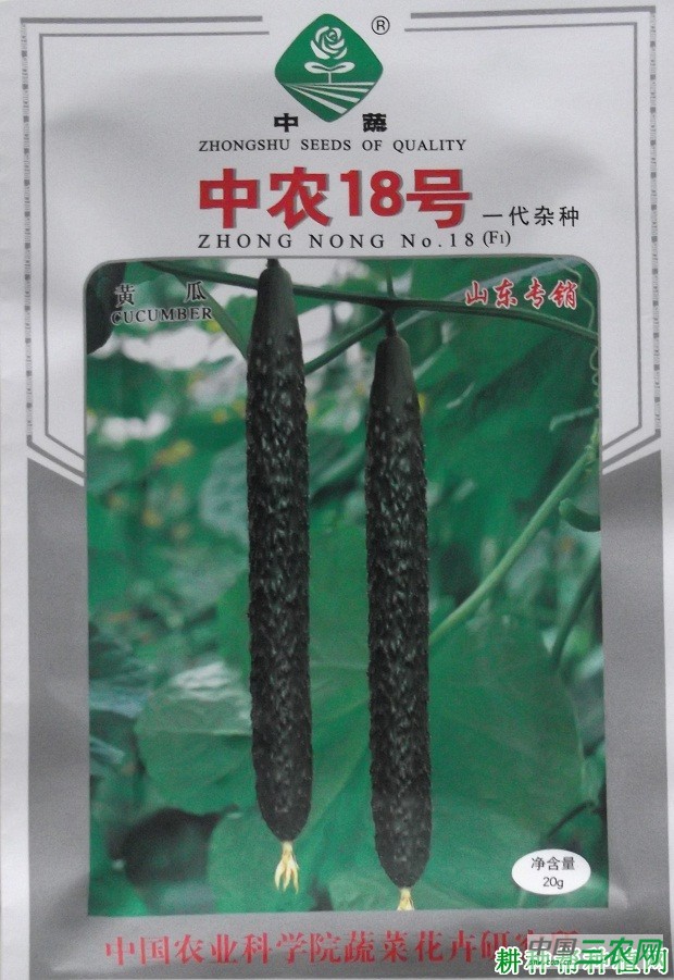 中农18号黄瓜品种好不好？