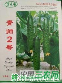 碧玉二号黄瓜品种好不好？