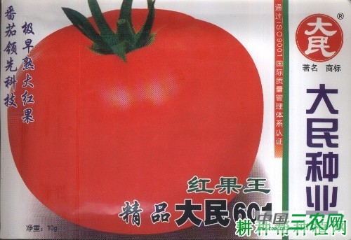 大民601番茄品种好不好？