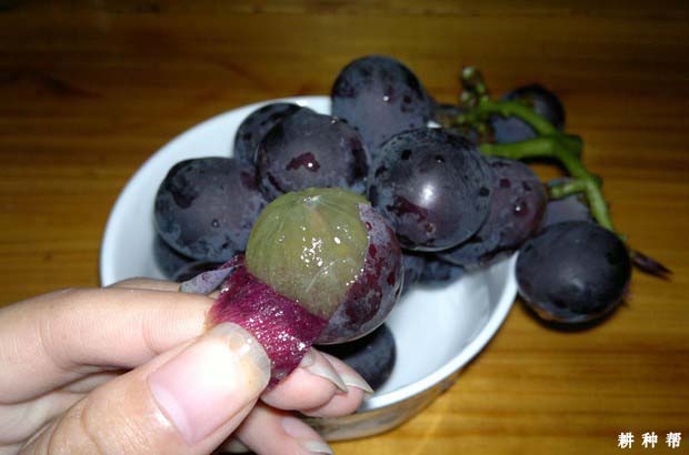 葡萄的营养价值与食用功效是什么？