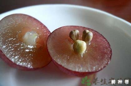 葡萄的营养价值与食用功效是什么？