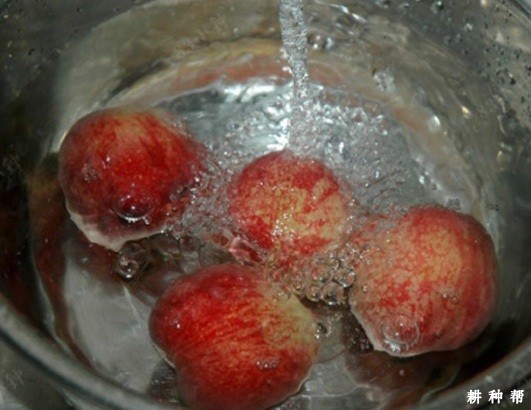 水蜜桃的毛怎么洗？