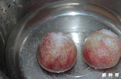 水蜜桃的毛怎么洗？