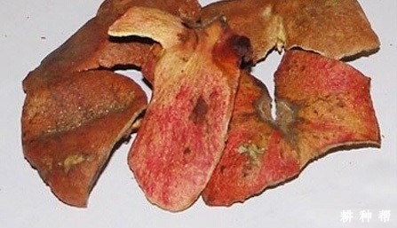 石榴皮有什么功效与作用？