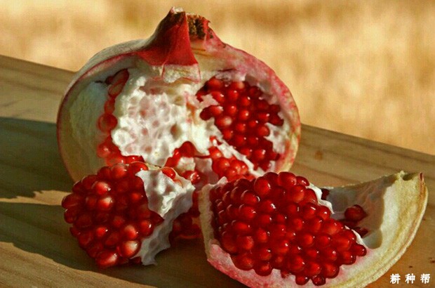 石榴皮有什么功效与作用？