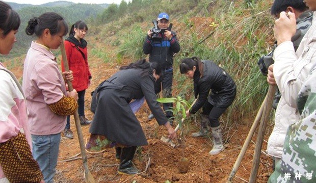 芒果什么时候种**合适？