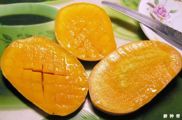 吃芒果过敏后怎么办？
