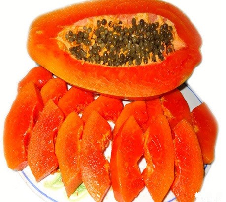 美中红木瓜品种好不好？