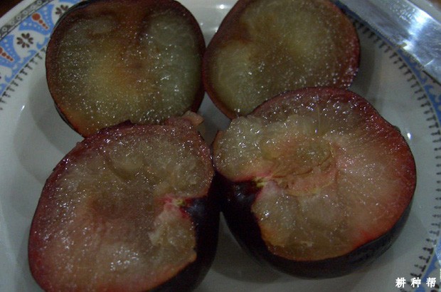 李子是酸性还是碱性食物？