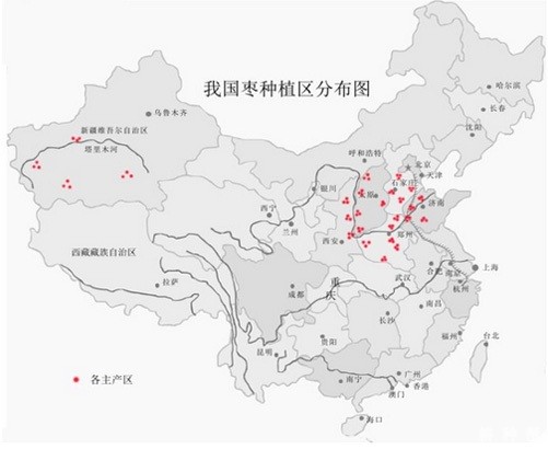 我国枣树产地在哪里？