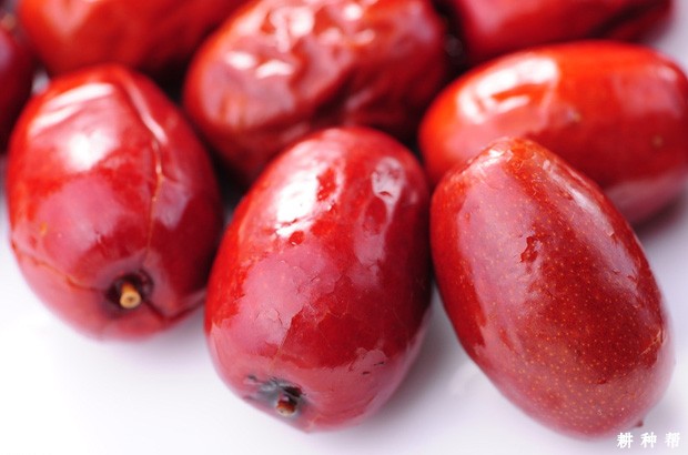 红枣吃多了会怎么样？