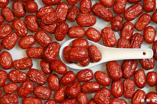 红枣有哪些功效与作用？