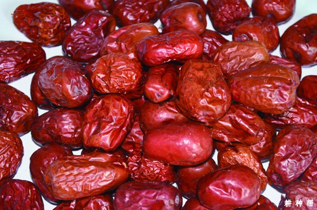 红枣有哪些功效与作用？