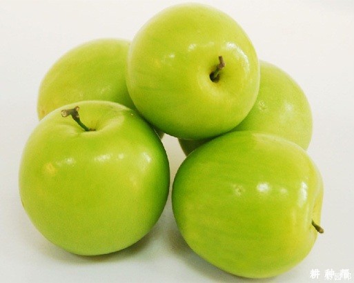 五千大青枣品种好不好？