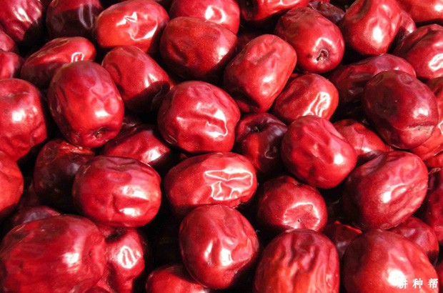 孕妇能吃红枣吗，有什么好处？