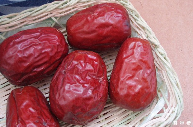 孕妇能吃红枣吗，有什么好处？