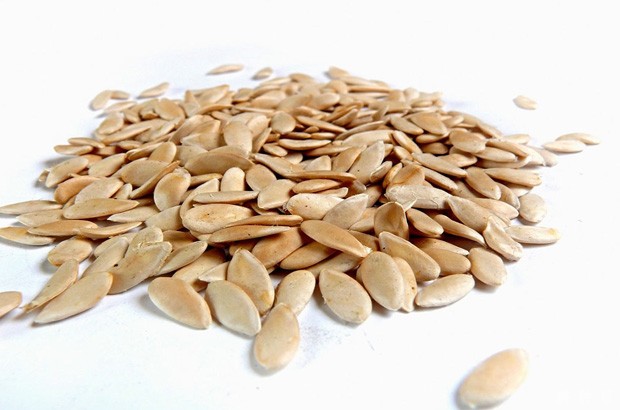 甜瓜种子浸种催芽要注意什么？