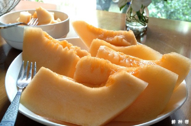 吃哈密瓜对人体有什么好处？