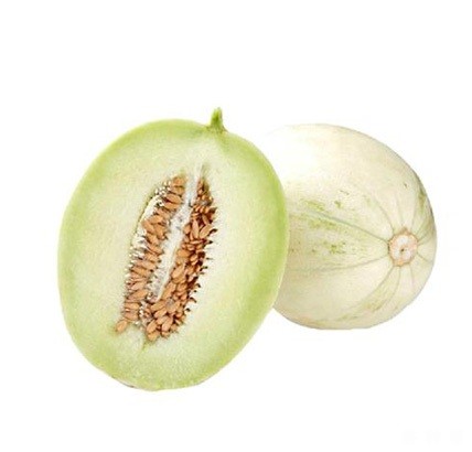 白元首厚皮甜瓜品种好不好？