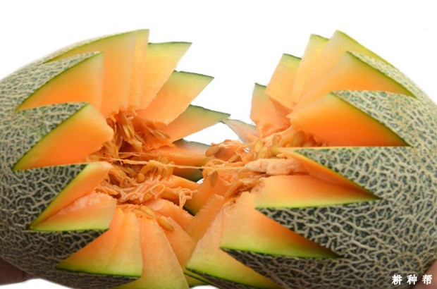 哈密瓜含有哪些营养成分？