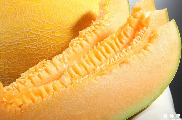 孕妇适合吃哈密瓜吗？