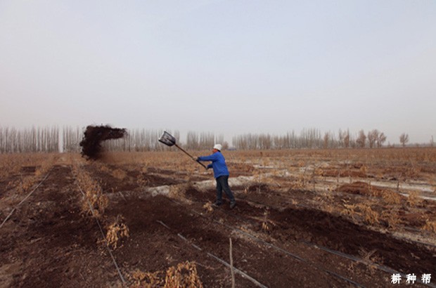  蓝莓种植前要做什么准备？