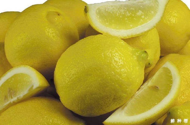 柠檬有什么妙用? 柠檬有什么妙用?