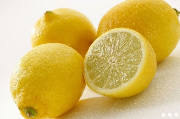 柠檬含有哪些营养成分？