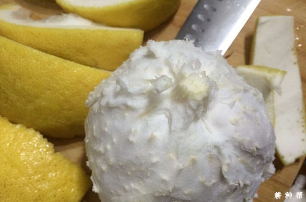 柚子皮有哪些功效与作用？