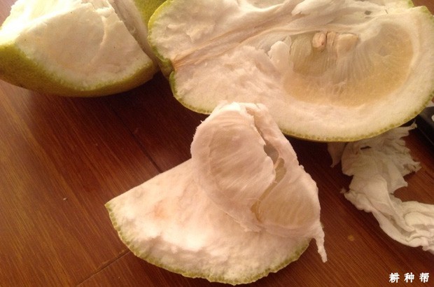 柚子皮有哪些功效与作用？