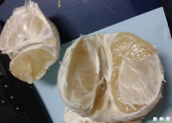 柚子有哪些功效与作用？