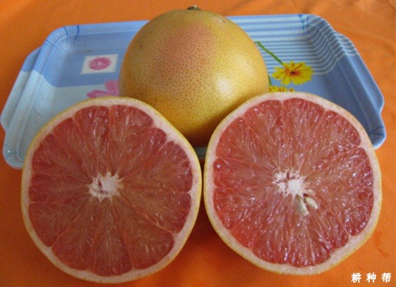 吃西柚有什么好处？