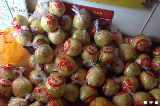 红肉蜜柚如何挑选？