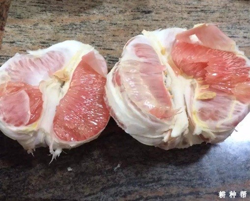 红肉蜜柚有哪些功效与作用? 红肉蜜柚有哪些功效与作用?