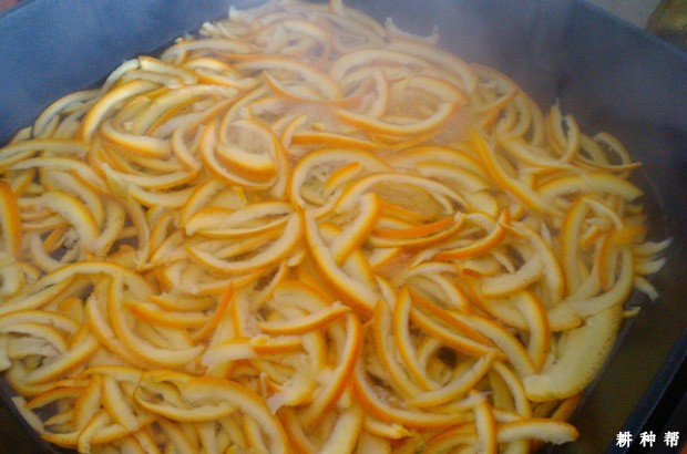 橙子皮有哪些功效与作用？