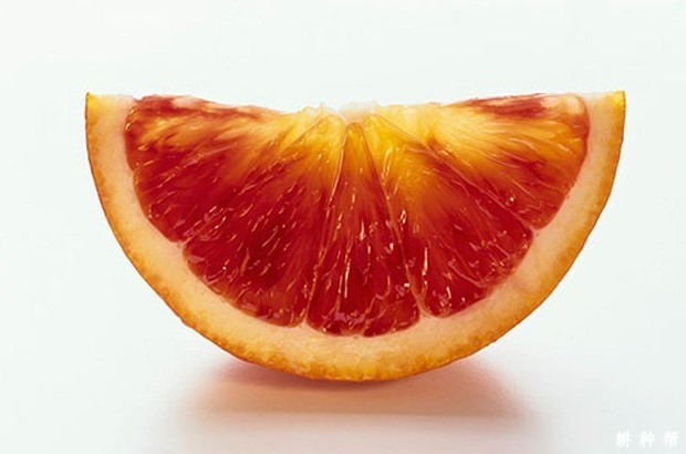 血橙含有哪些营养成分？