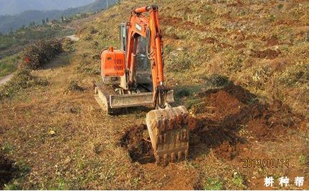 脐橙定植穴怎么准备? 脐橙定植穴怎么准备?