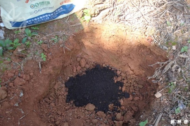 种柿子前园地怎样平整? 种柿子前园地怎样平整?