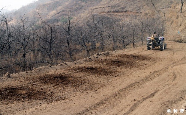 种柿子前园地怎样平整? 种柿子前园地怎样平整?