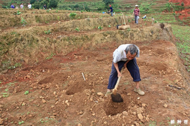 种柿子前园地怎样平整? 种柿子前园地怎样平整?