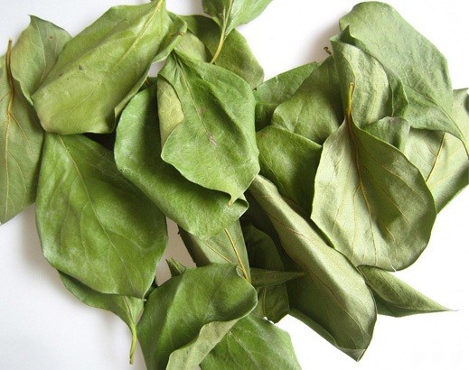 柿子叶有哪些功效与作用? 柿子叶有哪些功效与作用?